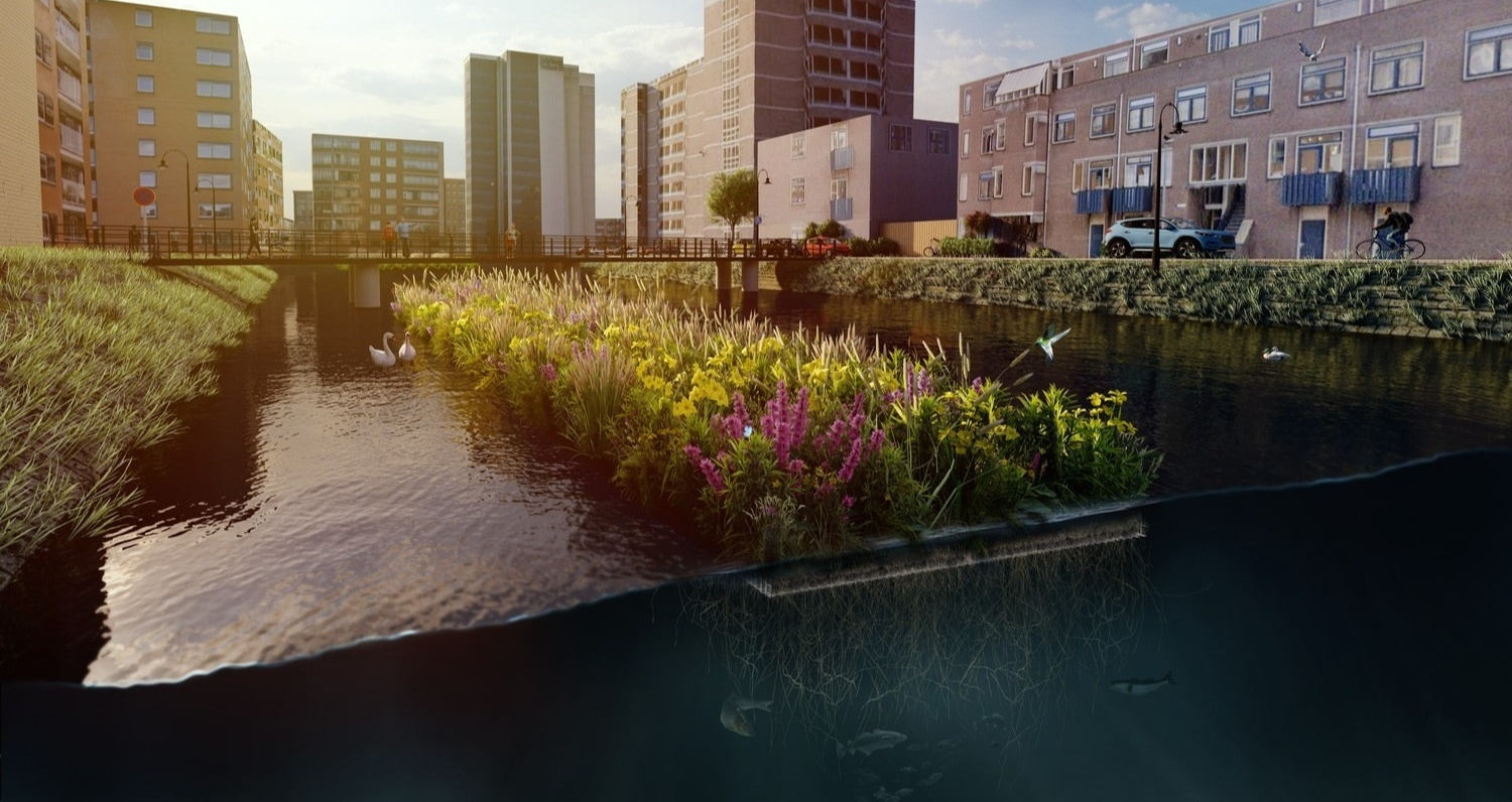 Bouwteam Drijvend Groen Buizengat